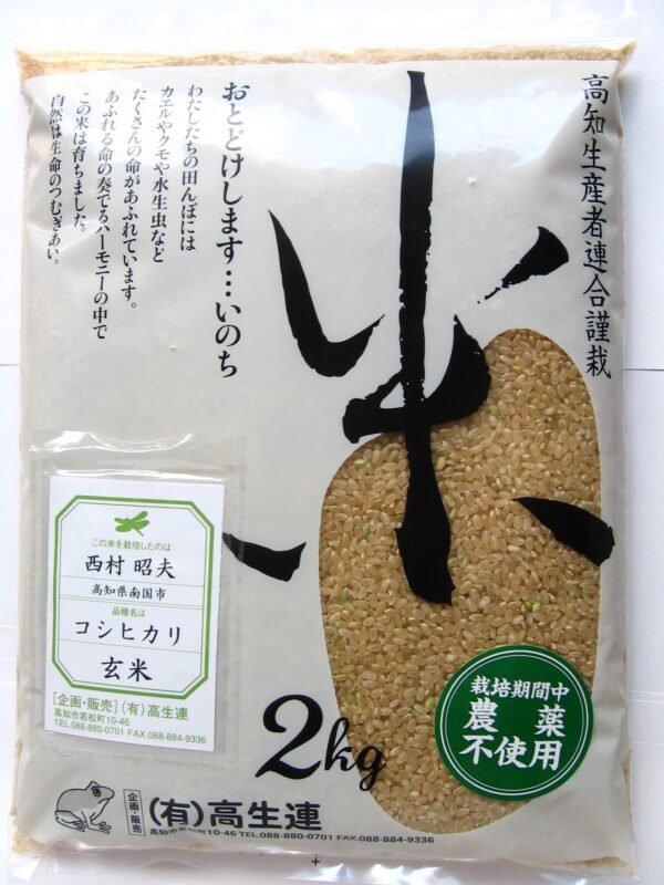 【新米】高知 コシヒカリ 玄米 2ｋｇ　2025年度米　無農薬　無化学肥料