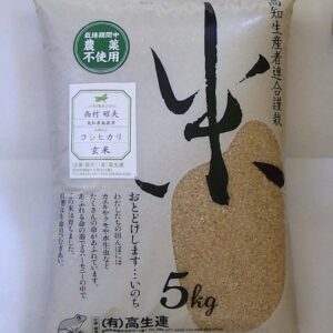 【新米】高知 コシヒカリ 玄米 5ｋｇ　2025年度米　 無農薬　無化学肥料