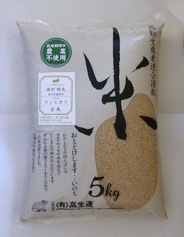 【新米】高知 コシヒカリ 玄米 5ｋｇ　2025年度米　 無農薬　無化学肥料