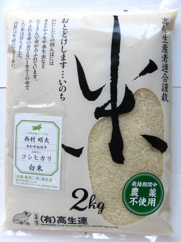 【新米】高知 コシヒカリ 白米 2ｋｇ　2025年産米　無農薬　無化学肥料